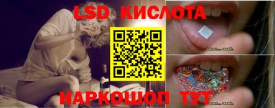 твердый Бийск